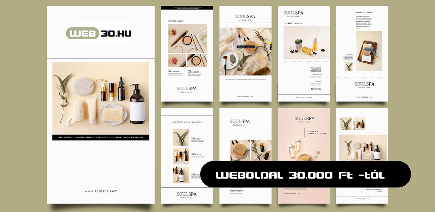 web30
